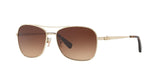 932213 - Light Gold - Brown Gradient
