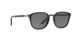 95/58 - Black - Green Polarized
