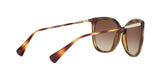 500313 - Havana - Gradient Brown
