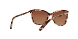 1463T5 - Havana - Brown Gradient Polarized