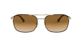 107551 - Havana - Clear Gradient Brown