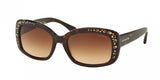 Coach L146 8161 Sunglasses