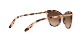 146313 - Havana - Dark Brown Gradient