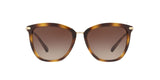 500313 - Gradient Brown
