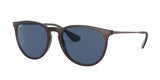 Ray Ban Erika 4171 Sunglasses