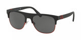 Polo 4132 Sunglasses