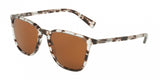 Dolce & Gabbana 4301 Sunglasses