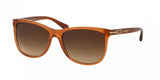 Coach L588 Blakely 8117F Sunglasses