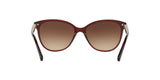 301413 - Bordeaux - Brown Gradient
