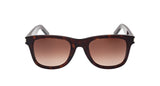 004 - Havana/Havana - Brown
