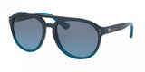 Coach 8170 Sunglasses