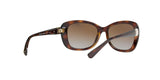 W656T5 - Havana - Polar Brown Gradient