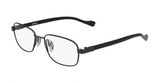 Flexon AUTOFLEX 117 Eyeglasses