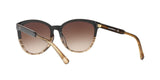 556713 - Brown - Brown Gradient