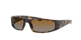 Ray Ban 4335 Sunglasses