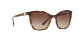 W65613 - Havana - Brown Gradient