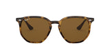 710/83 - Havana - Polar Brown