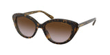 Coach L1133 8288 Sunglasses