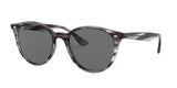 Ray Ban 4305 Sunglasses