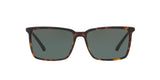 600171 - Dk Tortoise - Green Solid