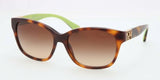 Coach 8035Q Sunglasses