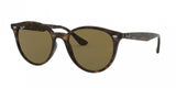 Ray Ban 4305 Sunglasses