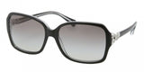 Coach 8009 Sunglasses