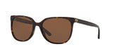 137883 - Havana - Brown Solid Polarized