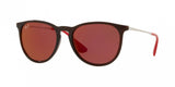 Ray Ban Erika 4171 Sunglasses