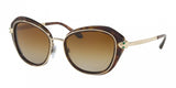 Bvlgari 8190KB Sunglasses
