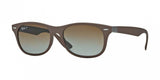 Ray Ban 4207 Sunglasses