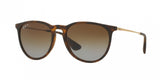 Ray Ban Erika 4171 Sunglasses