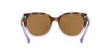 573683 - Dark Brown Polar