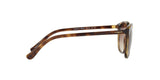 W65613 - Havana - Brown Gradient