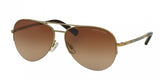 Michael Kors Gramercy 1001 Sunglasses