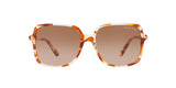 377613 - Havana - Brown Gradient