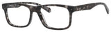 Polaroid Core PldD316 Eyeglasses