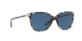 169280 - Blue Tortoise - Blue Solid