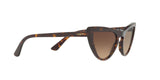 W65613 - Havana - Brown Gradient