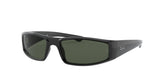 Ray Ban 4335 Sunglasses