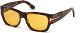 Tom Ford 0493 Sunglasses