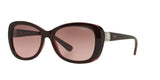 194114 - Brown - Pink Gradient Brown