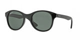 Ray Ban 4203 Sunglasses