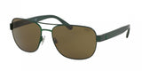 Polo 3101 Sunglasses