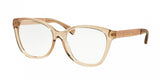 Michael Kors Clementine Iii 8015 Eyeglasses