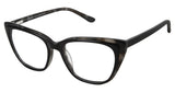 Choice Rewards Preview TYATP811 Eyeglasses