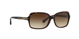 500113 - Havana - Brown Gradient