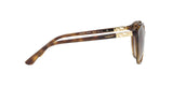 W65613 - Havana - Brown Gradient