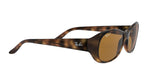 642/57 - Havana - Crystal Brown Polarized