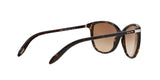 510/13 - Havana - Brown Gradient